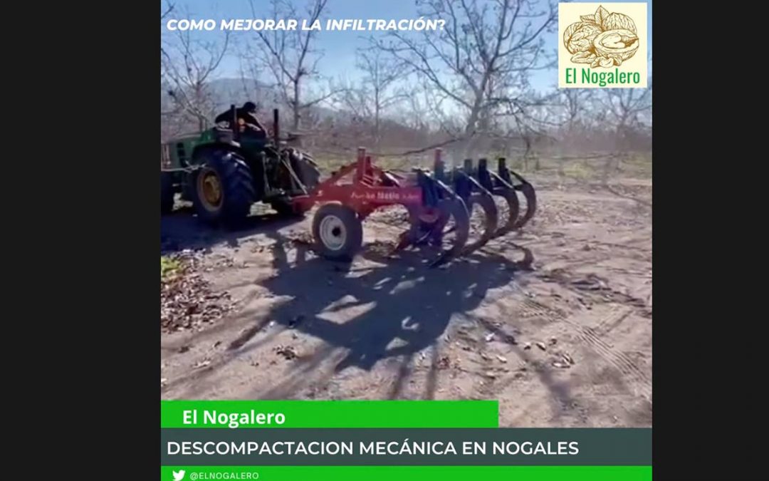 Descompatación Mecanica En Huertos De Nogales