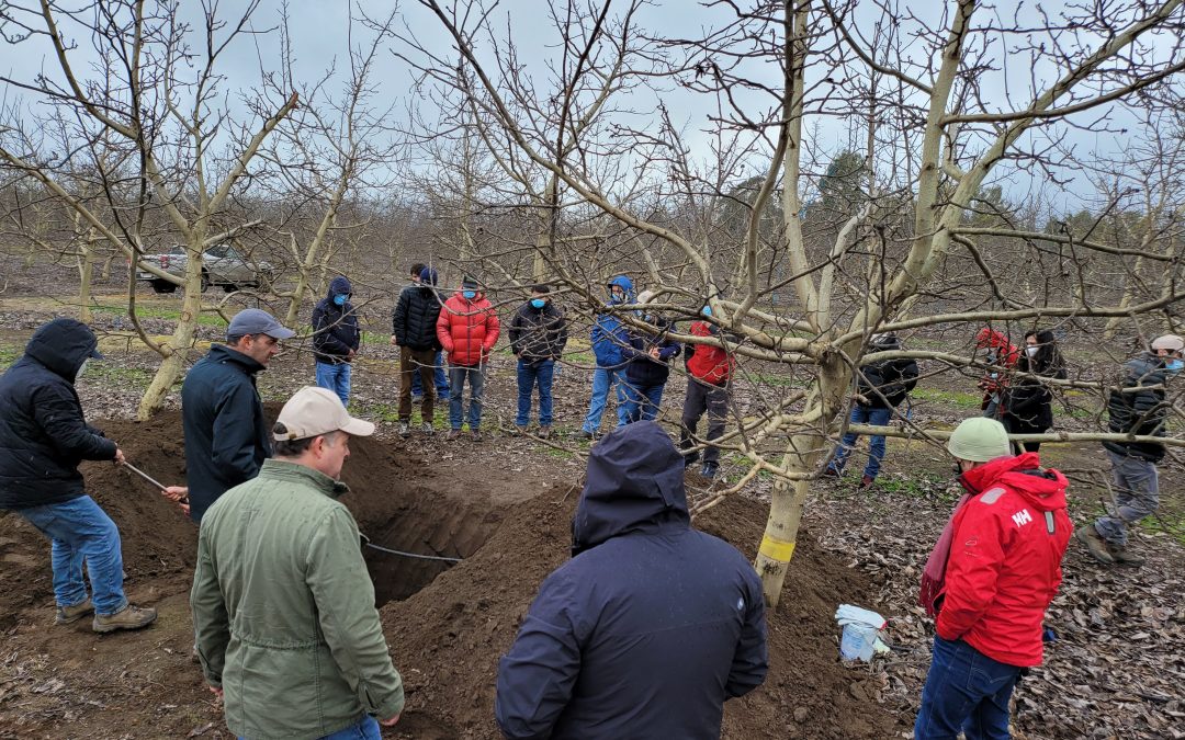 Día de Campo organizado por UPL y Nogaltec Sur.