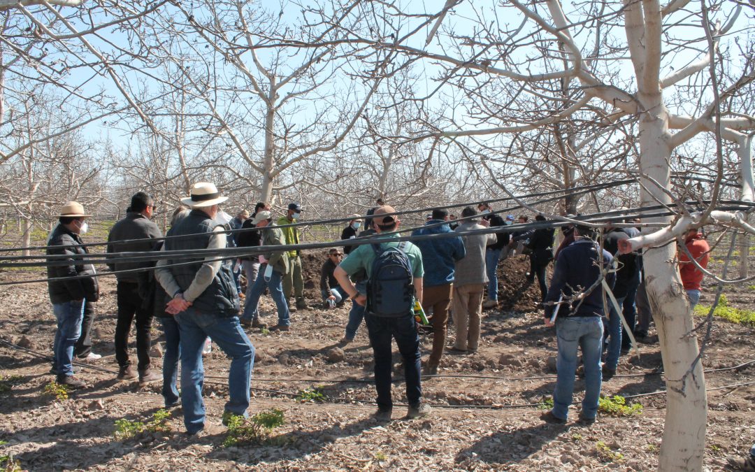 Éxito de convocatorias en Días de Campo RM y V región