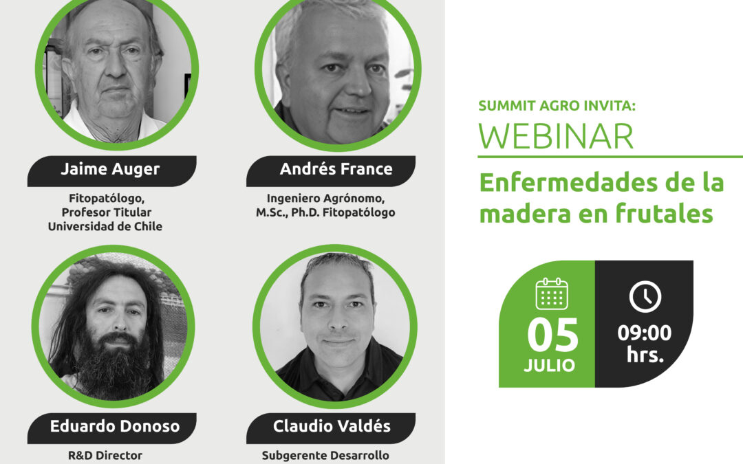 Webinar, Enfermedades de la madera.