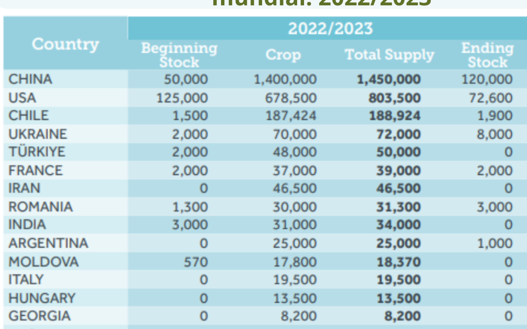 Walnuts Global Statistical Review de INC Julio 2023