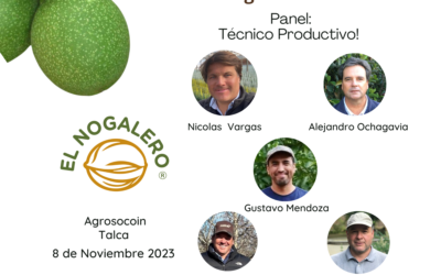 Día del Nogal en Transición. Panel Técnico Productivo!