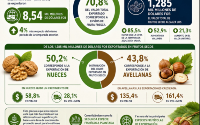 Resumen Boletín Odepa a Julio
