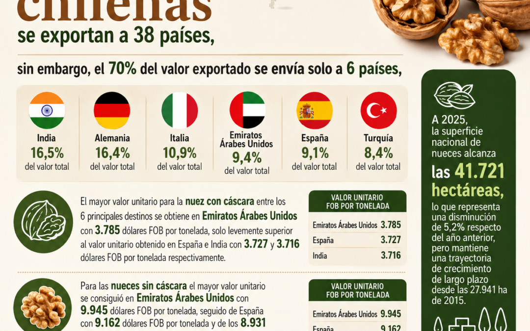 Resumen Odepa a Junio
