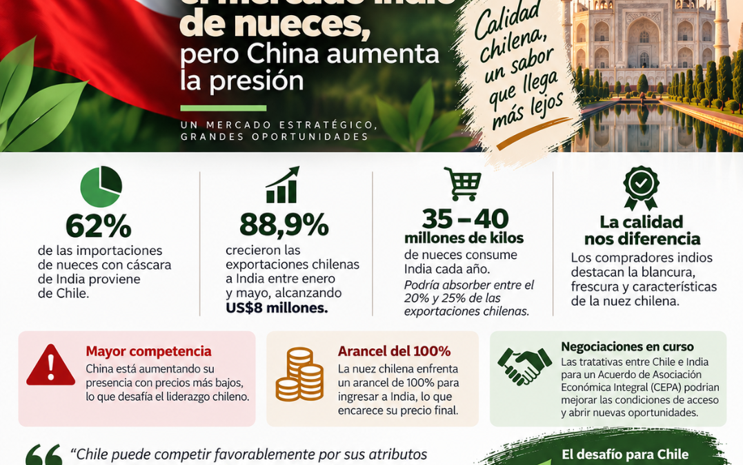 Chile lidera el mercado Indio de nueces